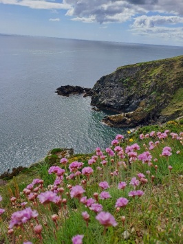 Dublinský Howth - další předměstí, které je celé na ostrově a lehce se na něj lze dostat z Maynoothu pomocí levné studentské jízdenky LeapCart. (Podobně jako na zajížďku do Dún Laoghaire.)