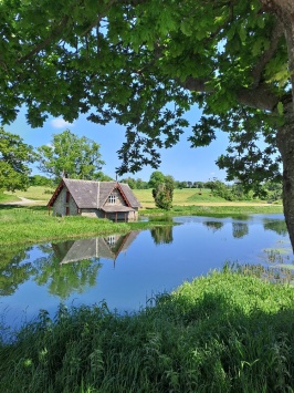 Park za mým univerzitním městečkem Maynoothem, který je známý pro svůj CARTON HOUSE a také to, že se v něm pořádají golfové turnaje. (Golf je původem z Irska a já se ani po tomto zjištění nedivila. Irské kopcovité krajiny jsou pro golf jako stvořené.)